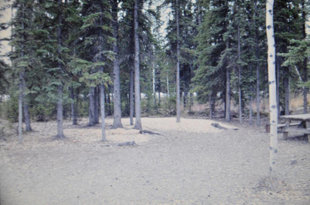 Tok Rv Village And Cabins Quarto foto